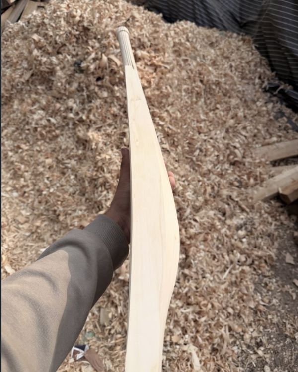 Sun Rise Sports – Kashmir Willow Cricket Bat